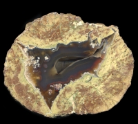 White Rock Thundereggs